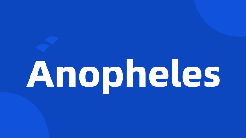 Anopheles