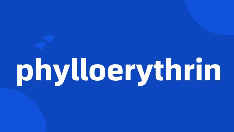 phylloerythrin