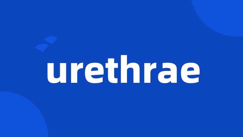 urethrae