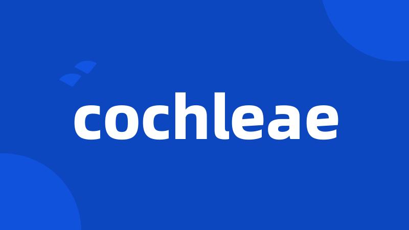 cochleae