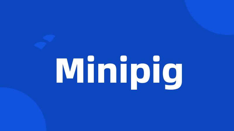 Minipig