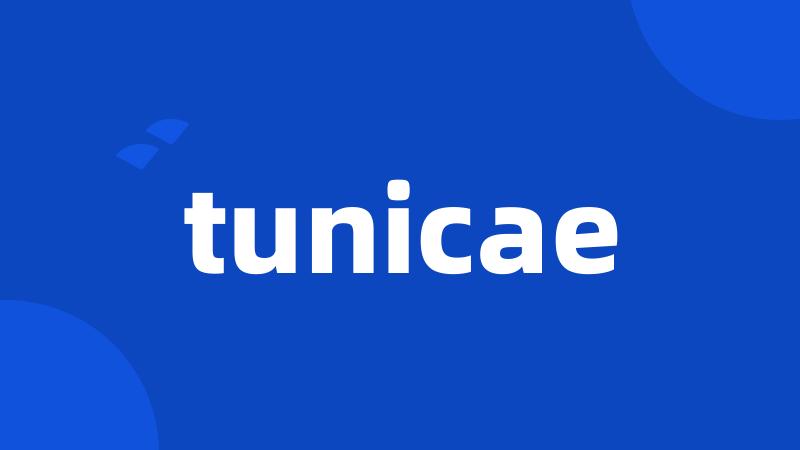 tunicae