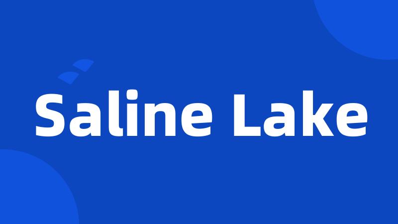 Saline Lake