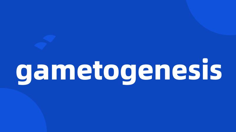 gametogenesis