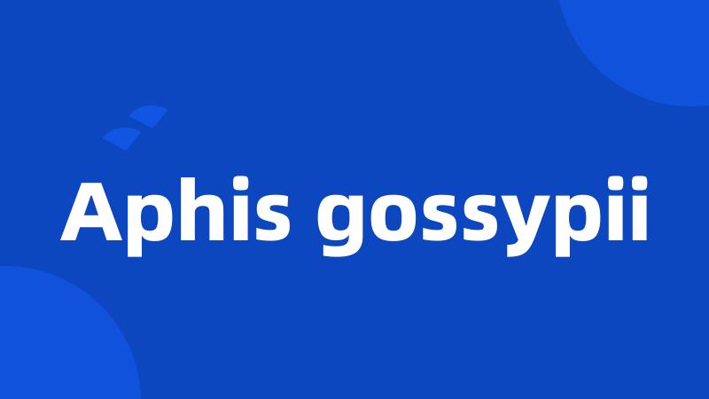 Aphis gossypii