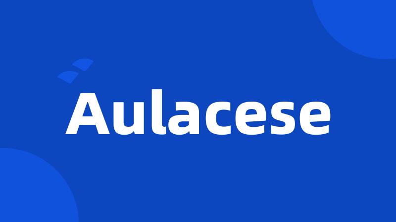 Aulacese