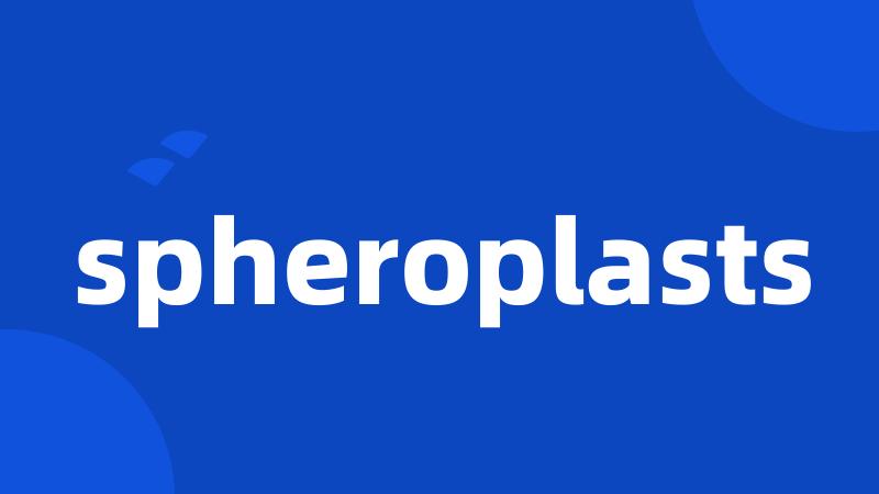 spheroplasts