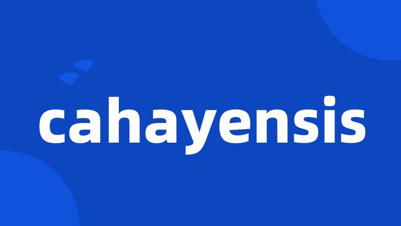 cahayensis
