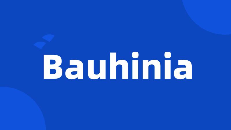 Bauhinia