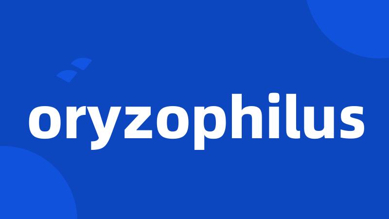 oryzophilus