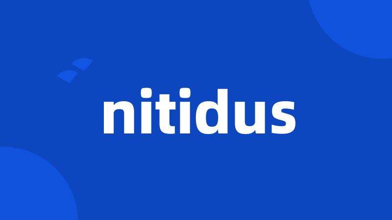 nitidus