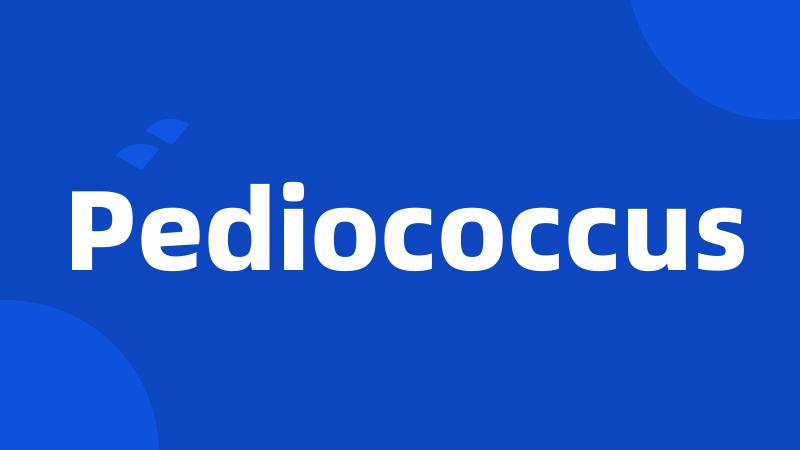 Pediococcus