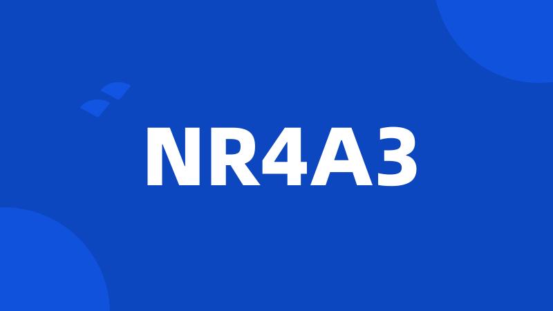 NR4A3