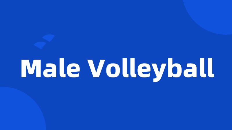 Male Volleyball