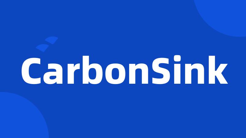 CarbonSink