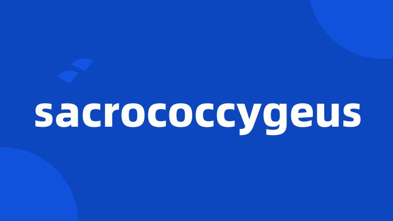 sacrococcygeus