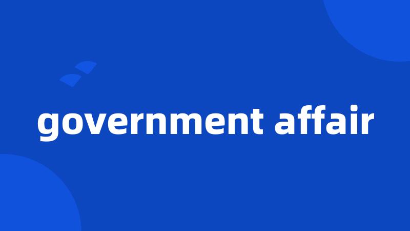government affair