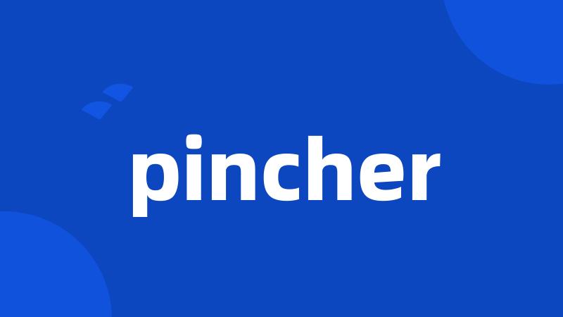 pincher