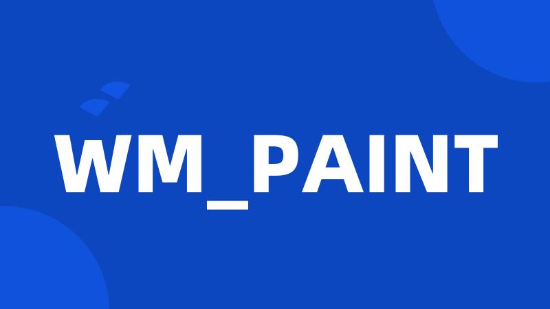 WM_PAINT