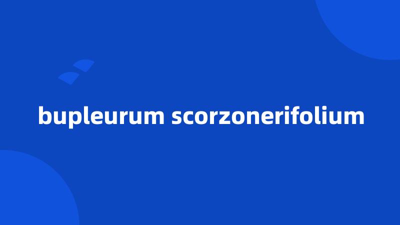 bupleurum scorzonerifolium