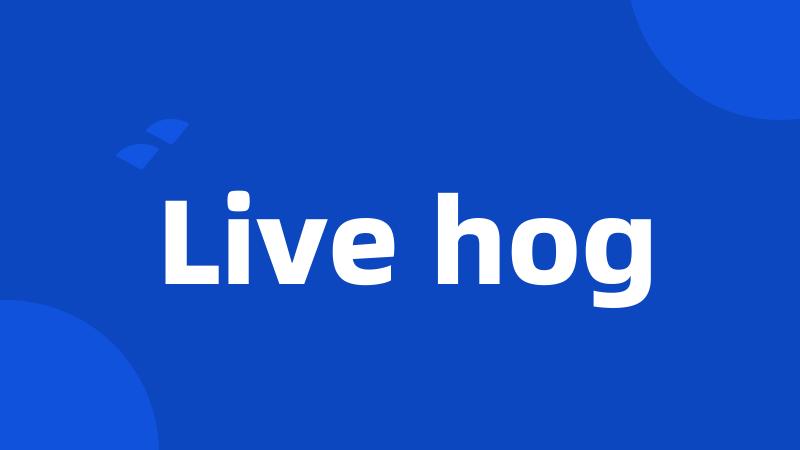 Live hog