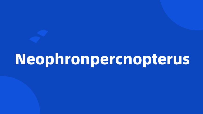 Neophronpercnopterus