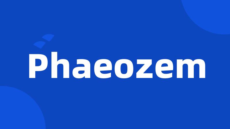 Phaeozem