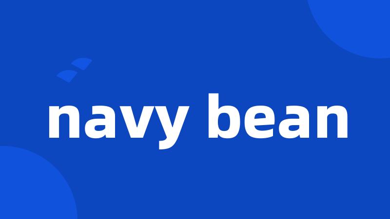 navy bean