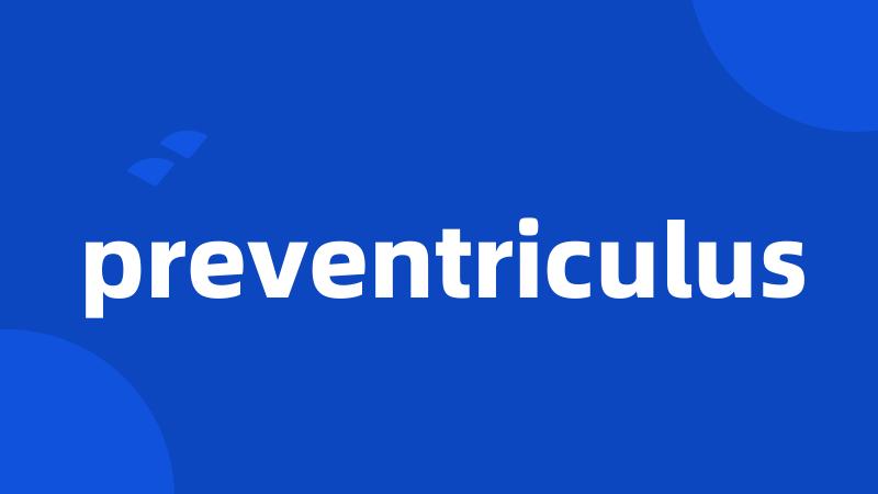preventriculus