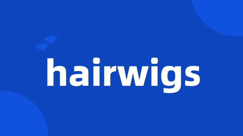 hairwigs