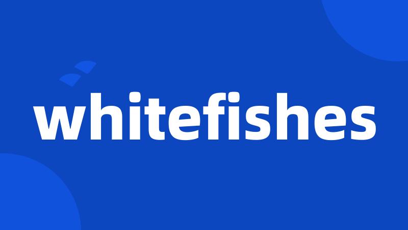 whitefishes