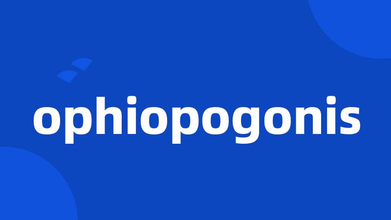 ophiopogonis