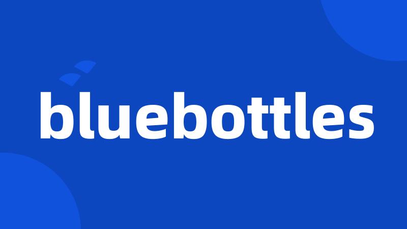 bluebottles