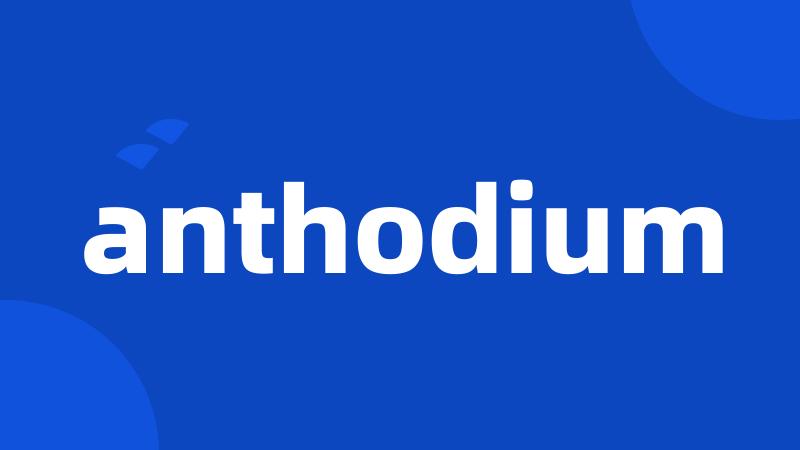anthodium