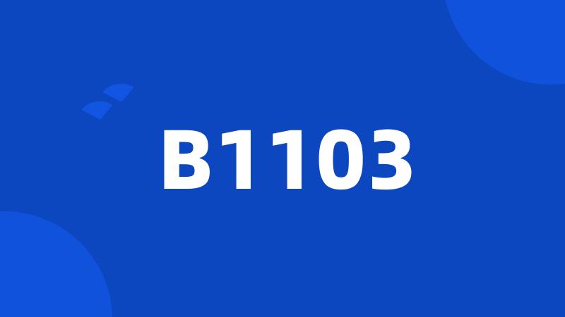 B1103