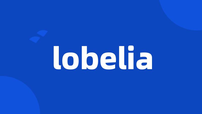 lobelia