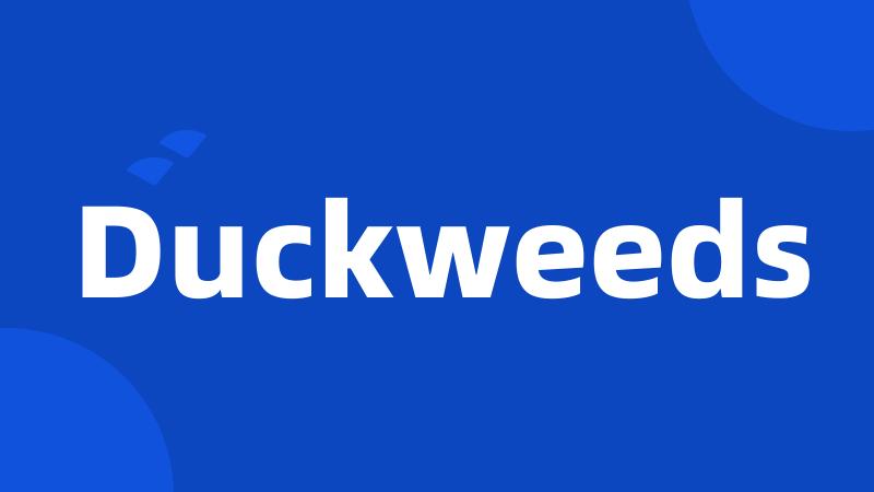 Duckweeds