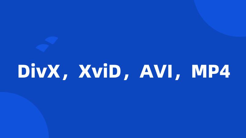 DivX，XviD，AVI，MP4