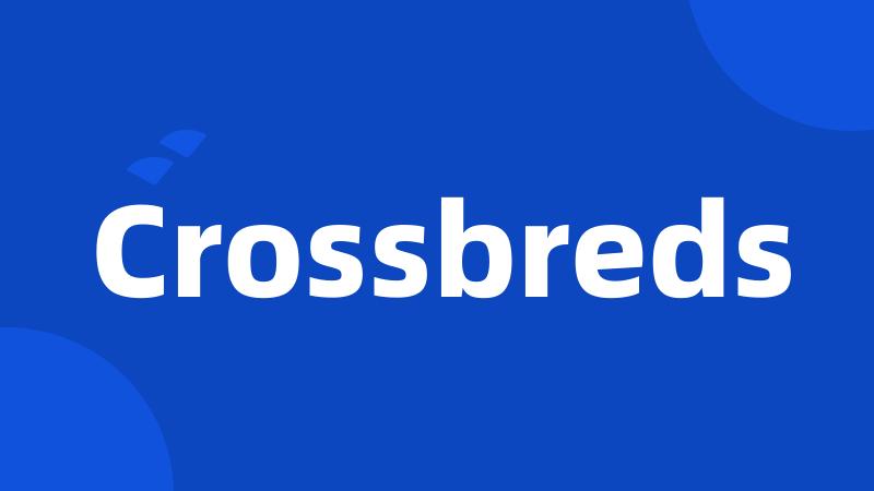 Crossbreds