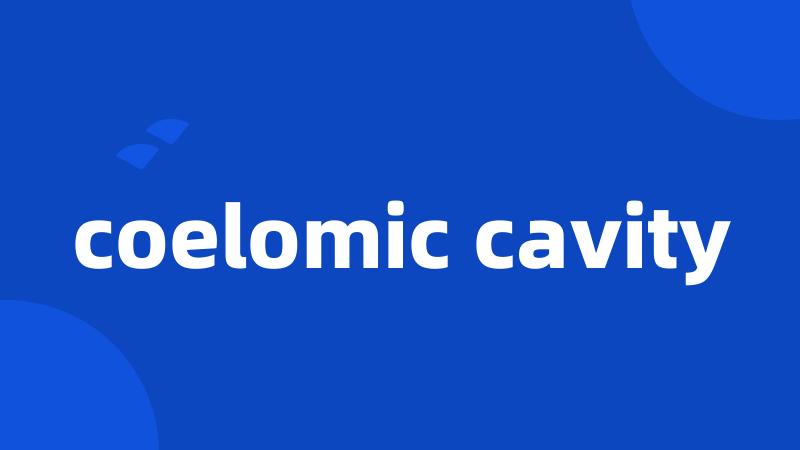 coelomic cavity