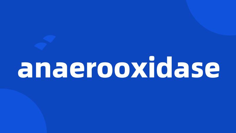 anaerooxidase