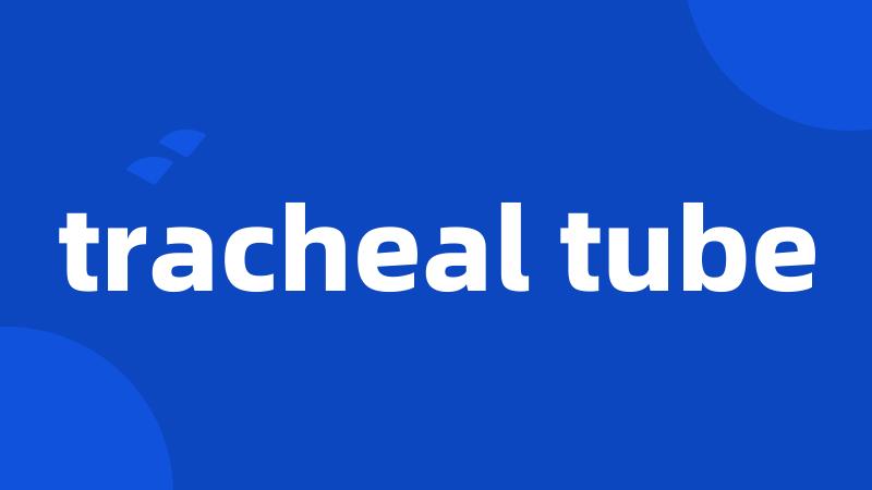 tracheal tube
