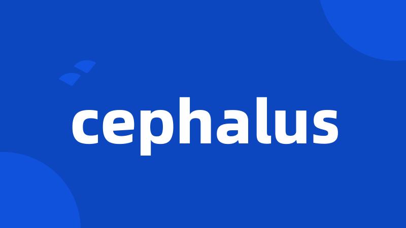 cephalus
