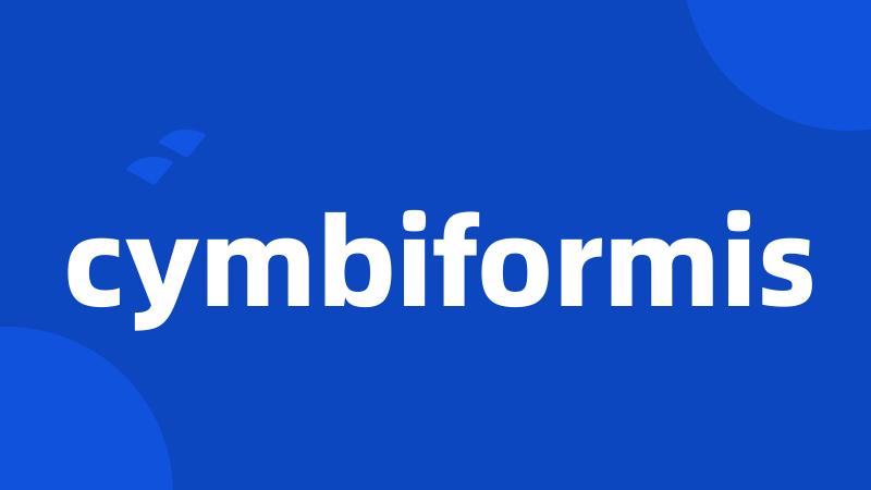 cymbiformis