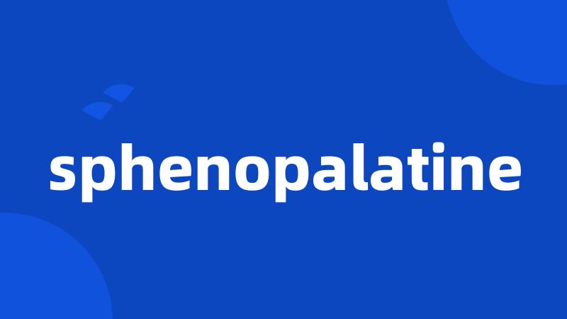 sphenopalatine