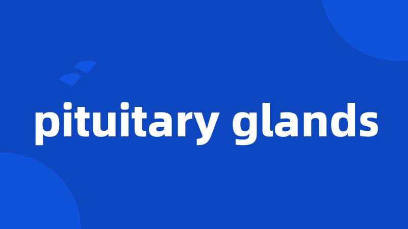 pituitary glands