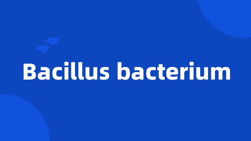 Bacillus bacterium