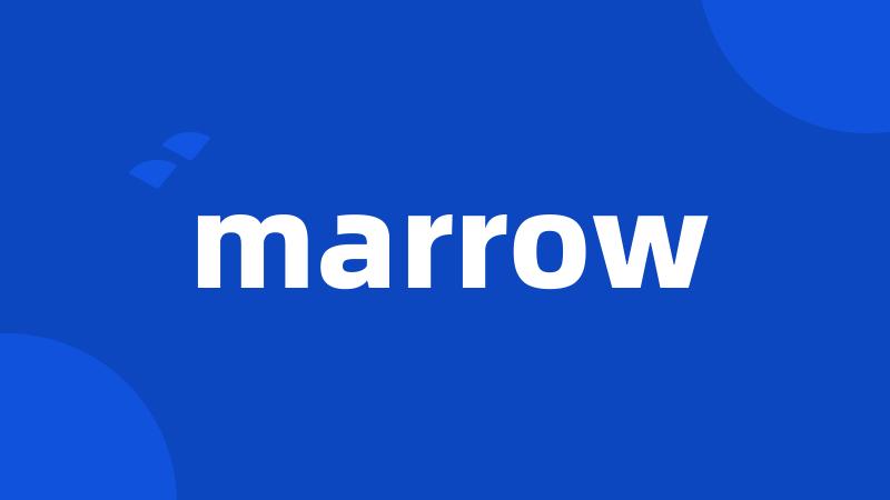 marrow
