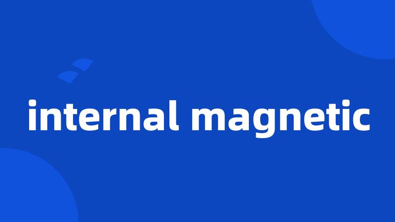 internal magnetic