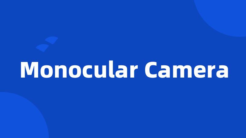 Monocular Camera
